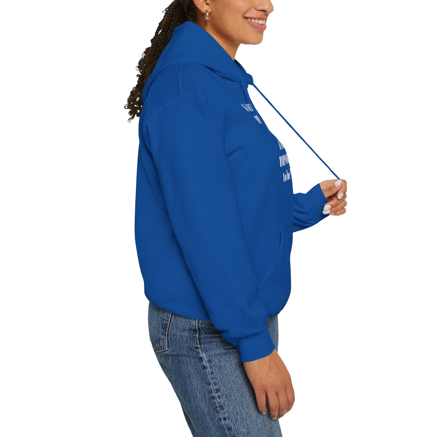 BE NICE HOODED SWEATSHIRT