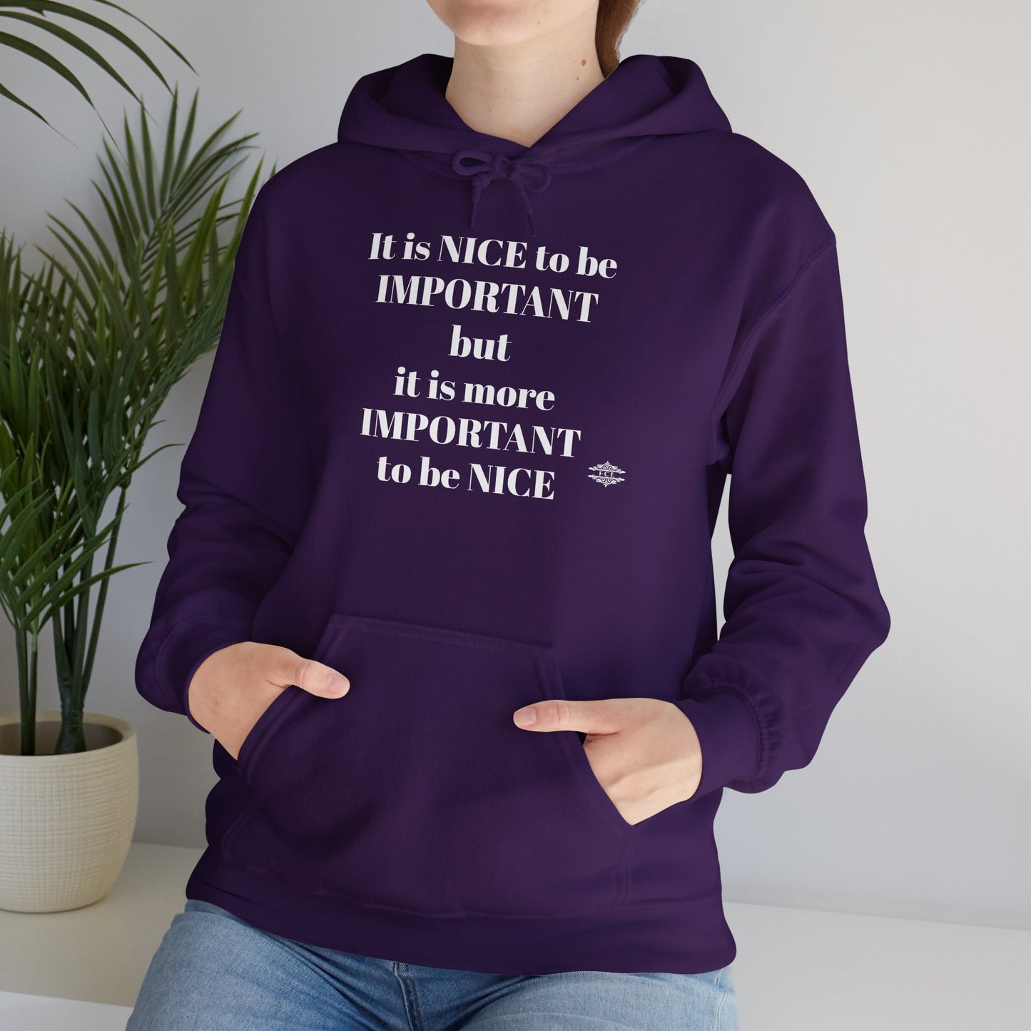BE NICE HOODED SWEATSHIRT