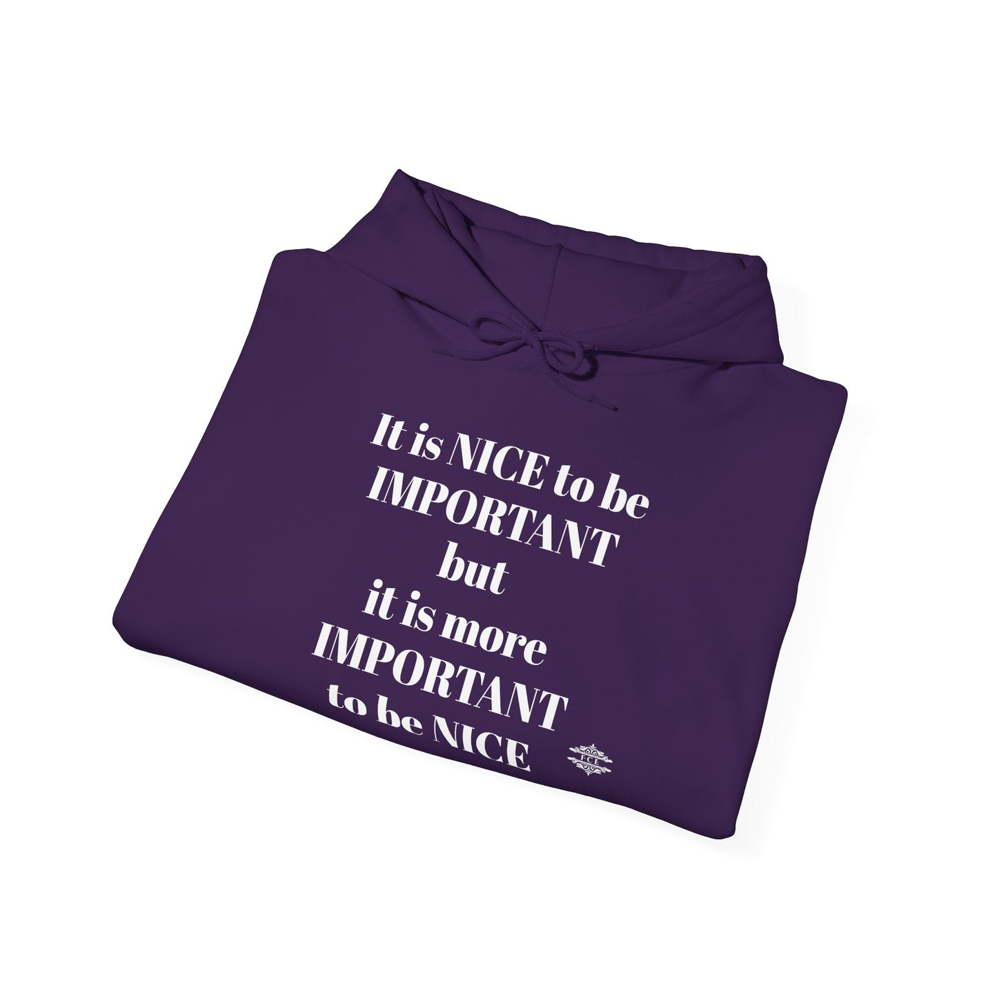 BE NICE HOODED SWEATSHIRT