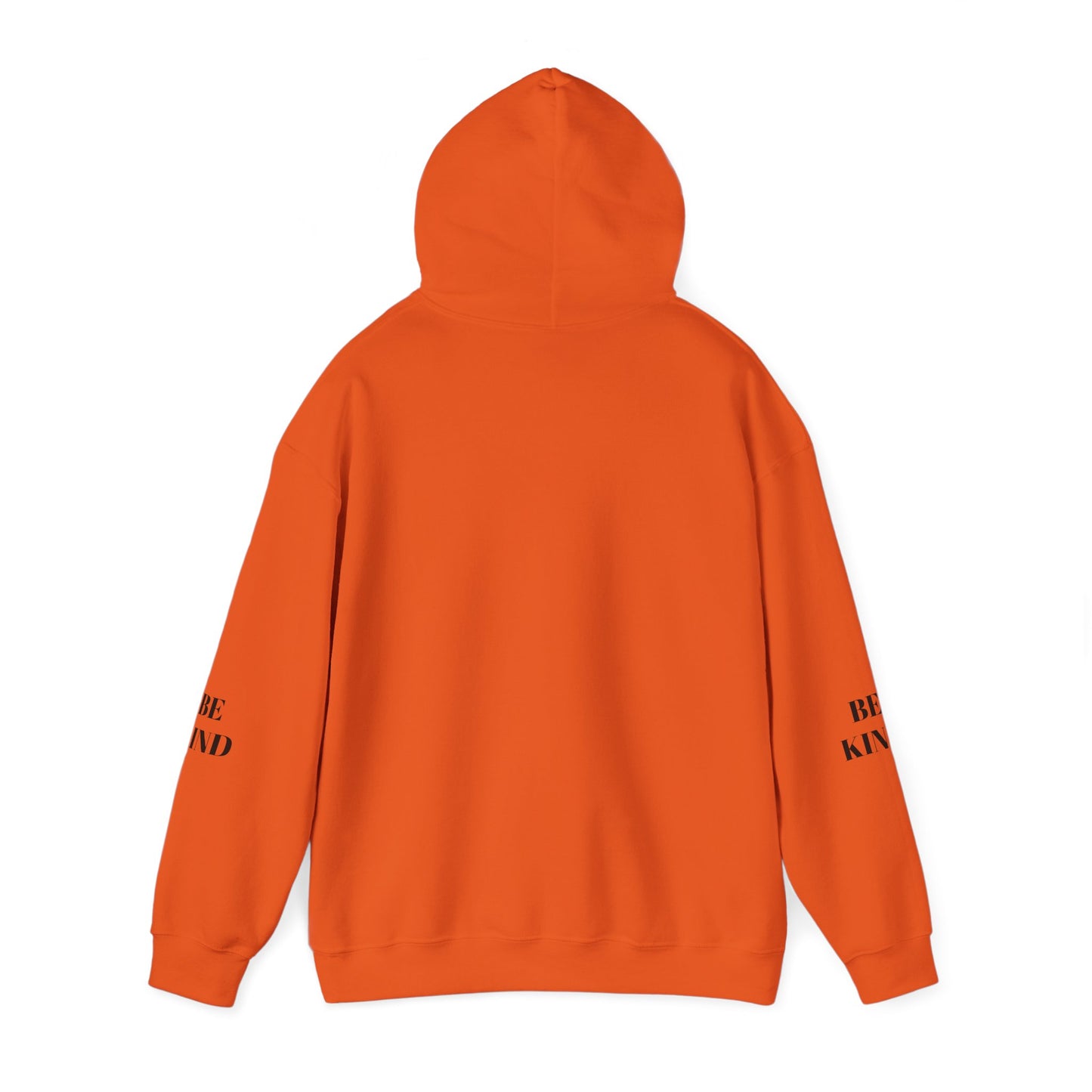 BE NICE HOODED SWEATSHIRT