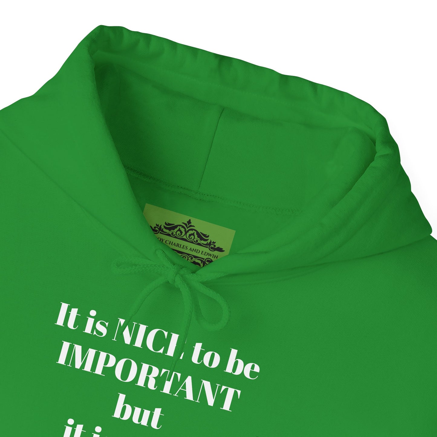 BE NICE HOODED SWEATSHIRT