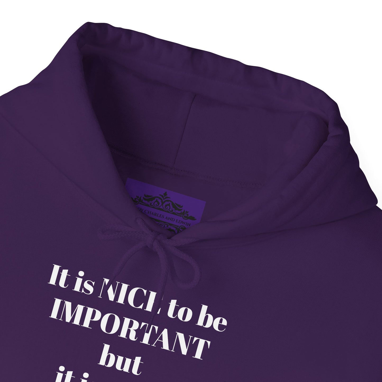 BE NICE HOODED SWEATSHIRT