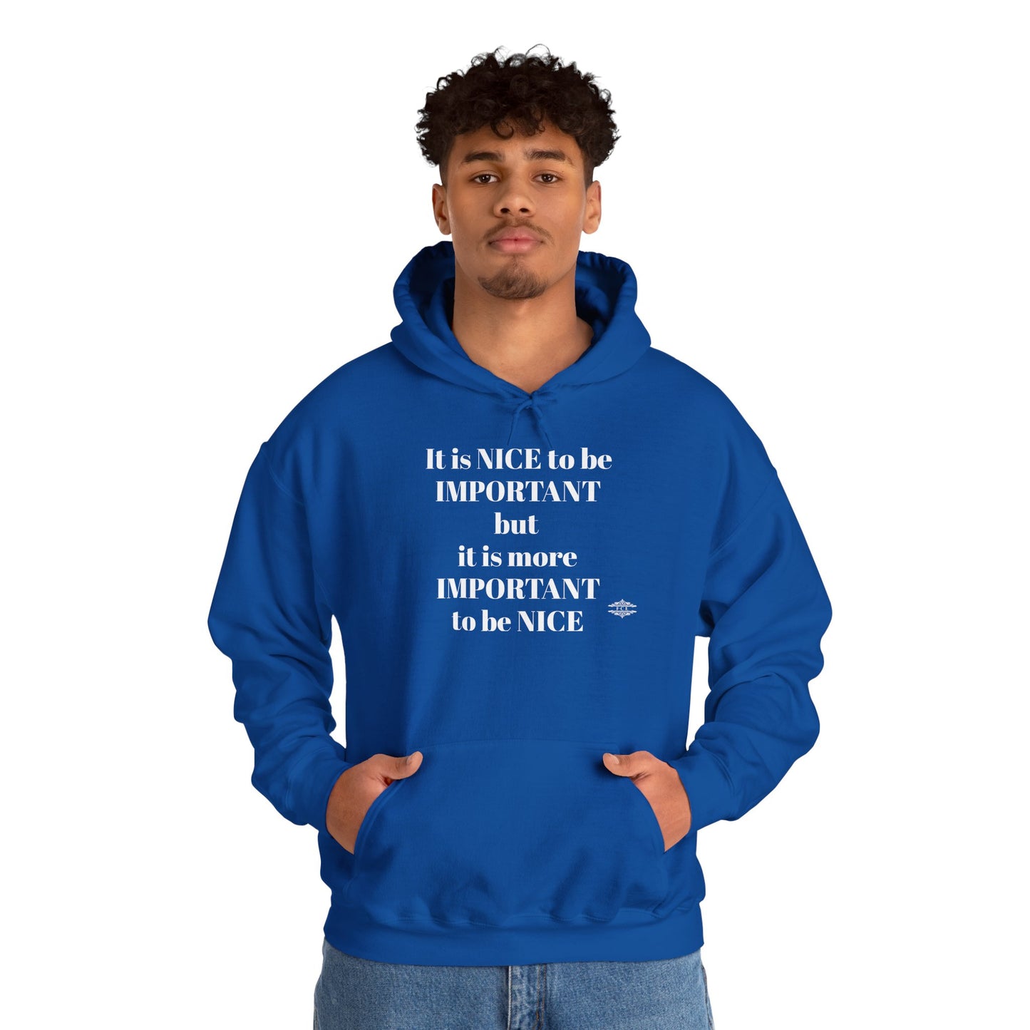 BE NICE HOODED SWEATSHIRT