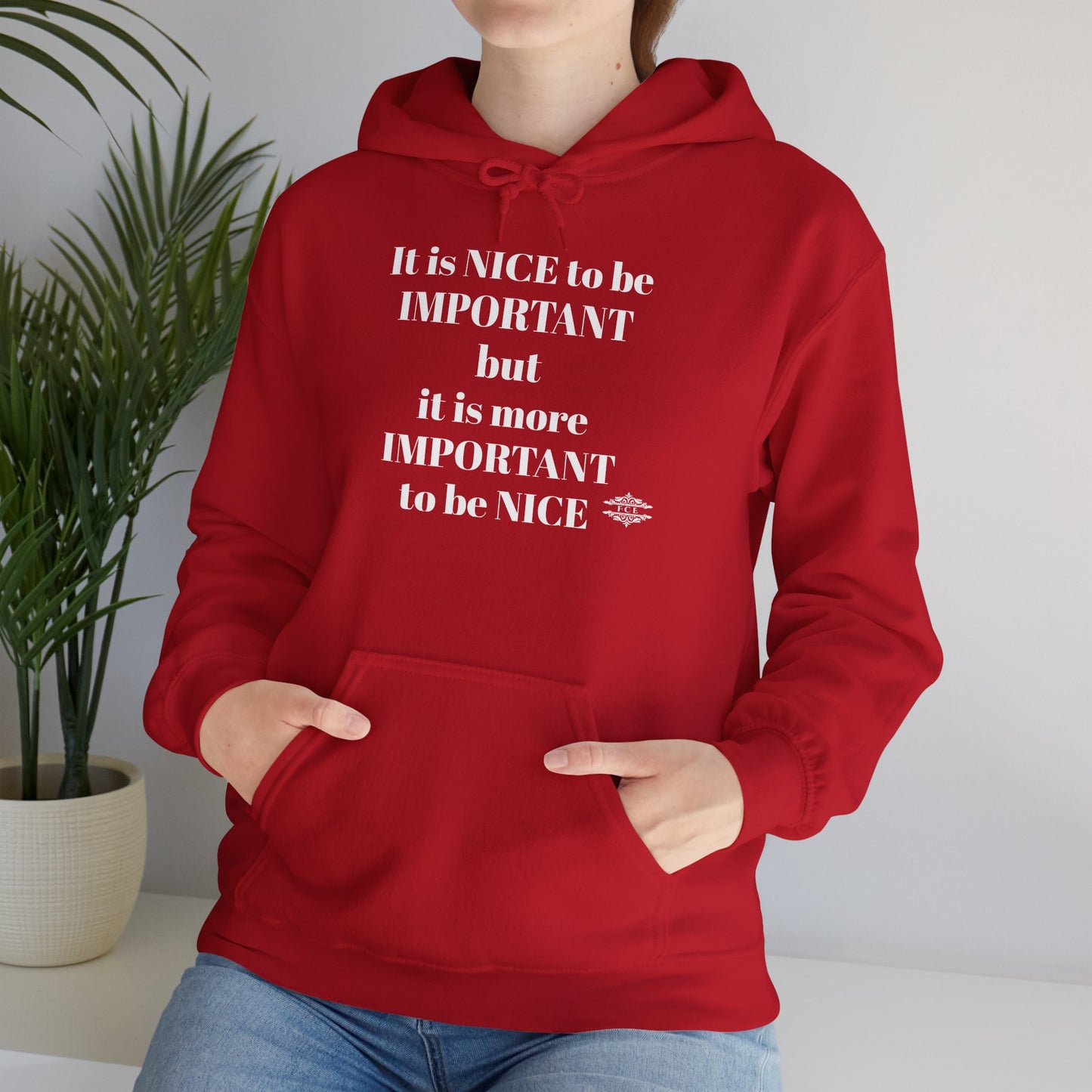 BE NICE HOODED SWEATSHIRT