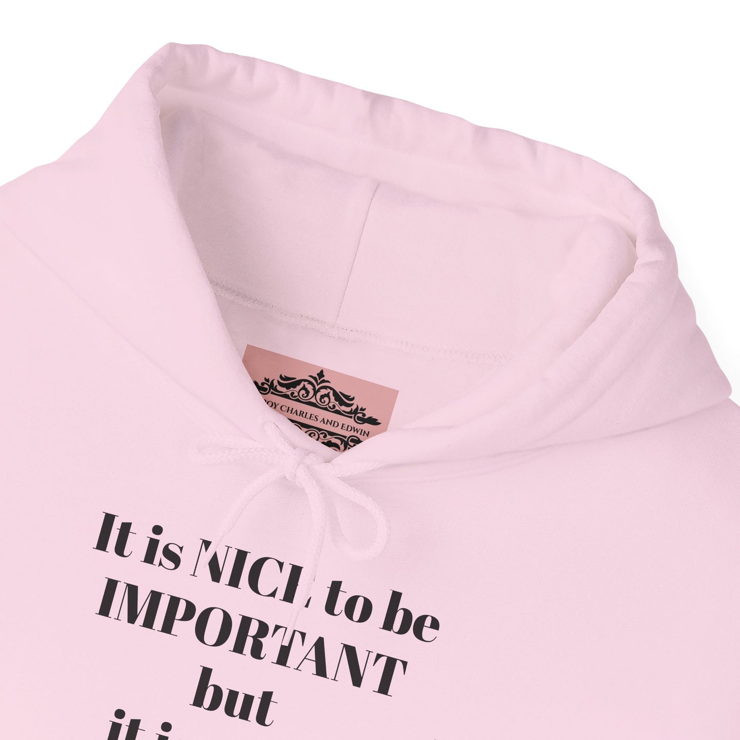 BE NICE HOODED SWEATSHIRT