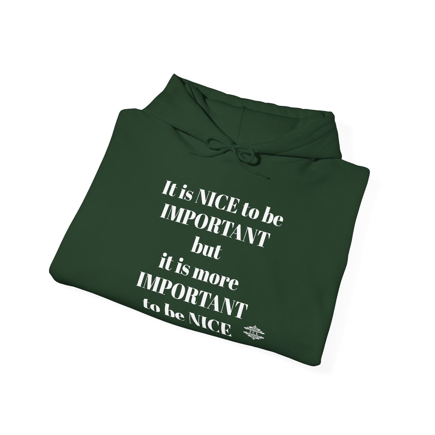 BE NICE HOODED SWEATSHIRT