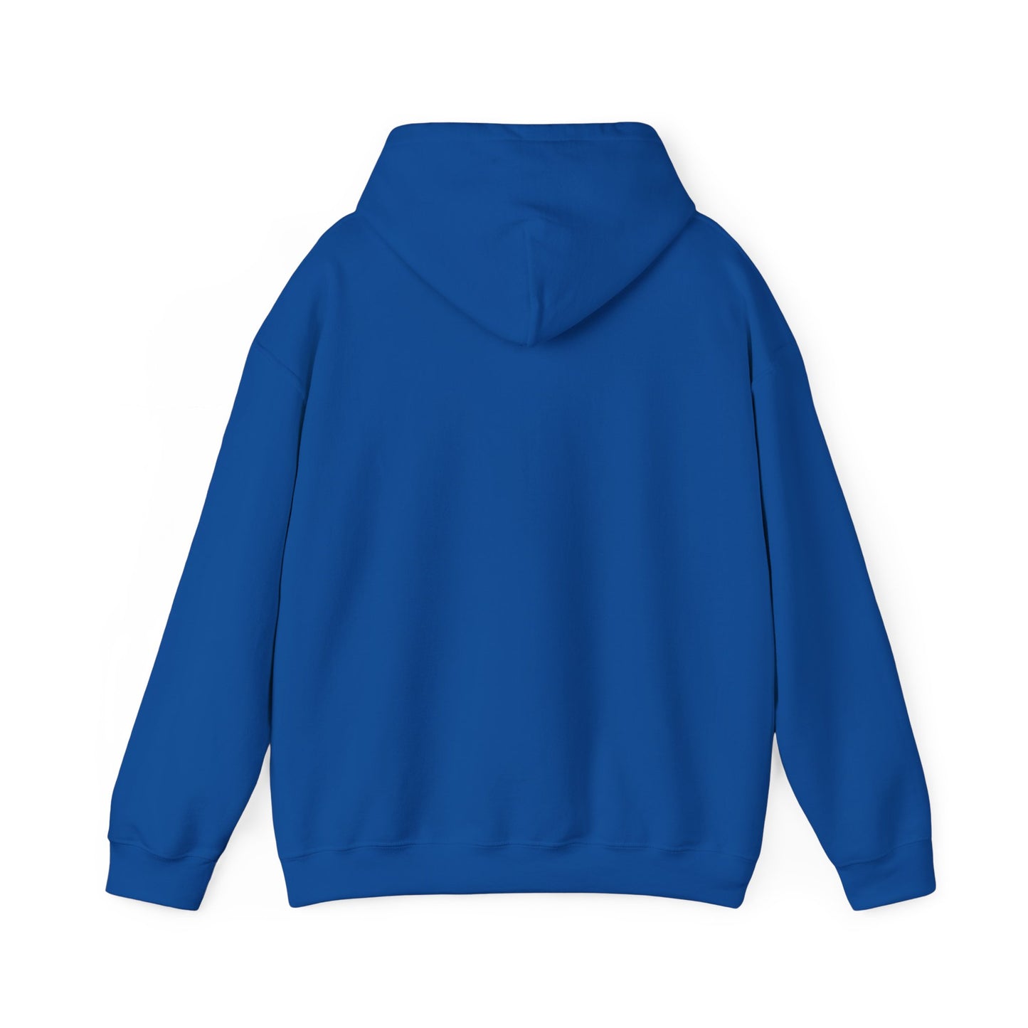 BE NICE HOODED SWEATSHIRT