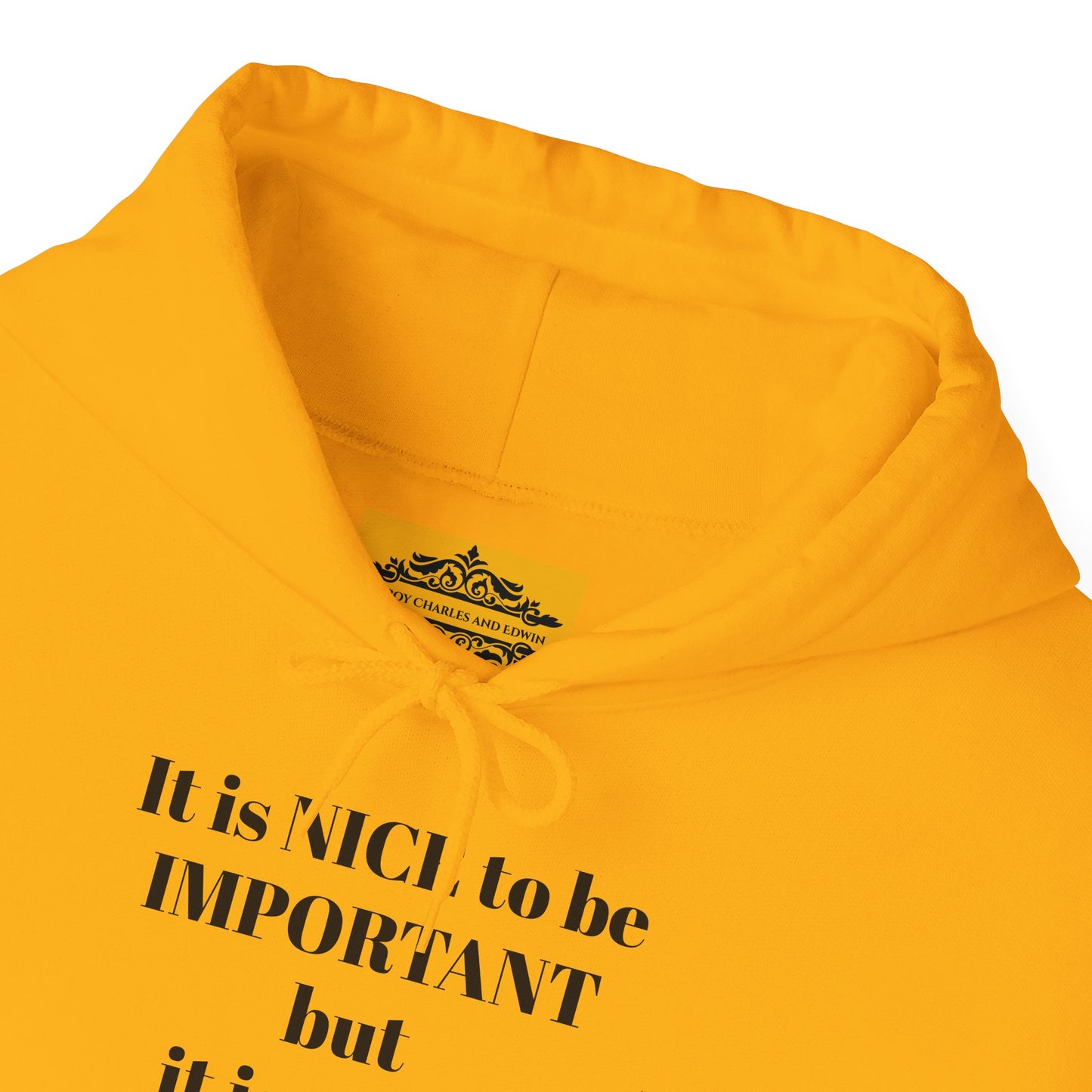 BE NICE HOODED SWEATSHIRT