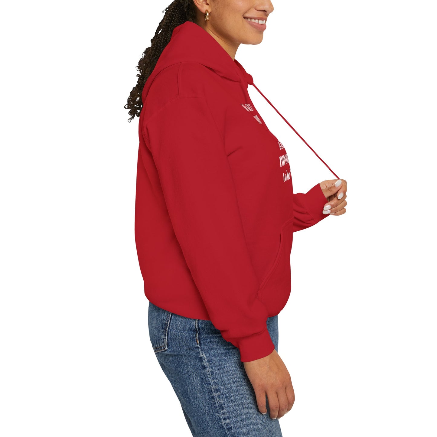 BE NICE HOODED SWEATSHIRT