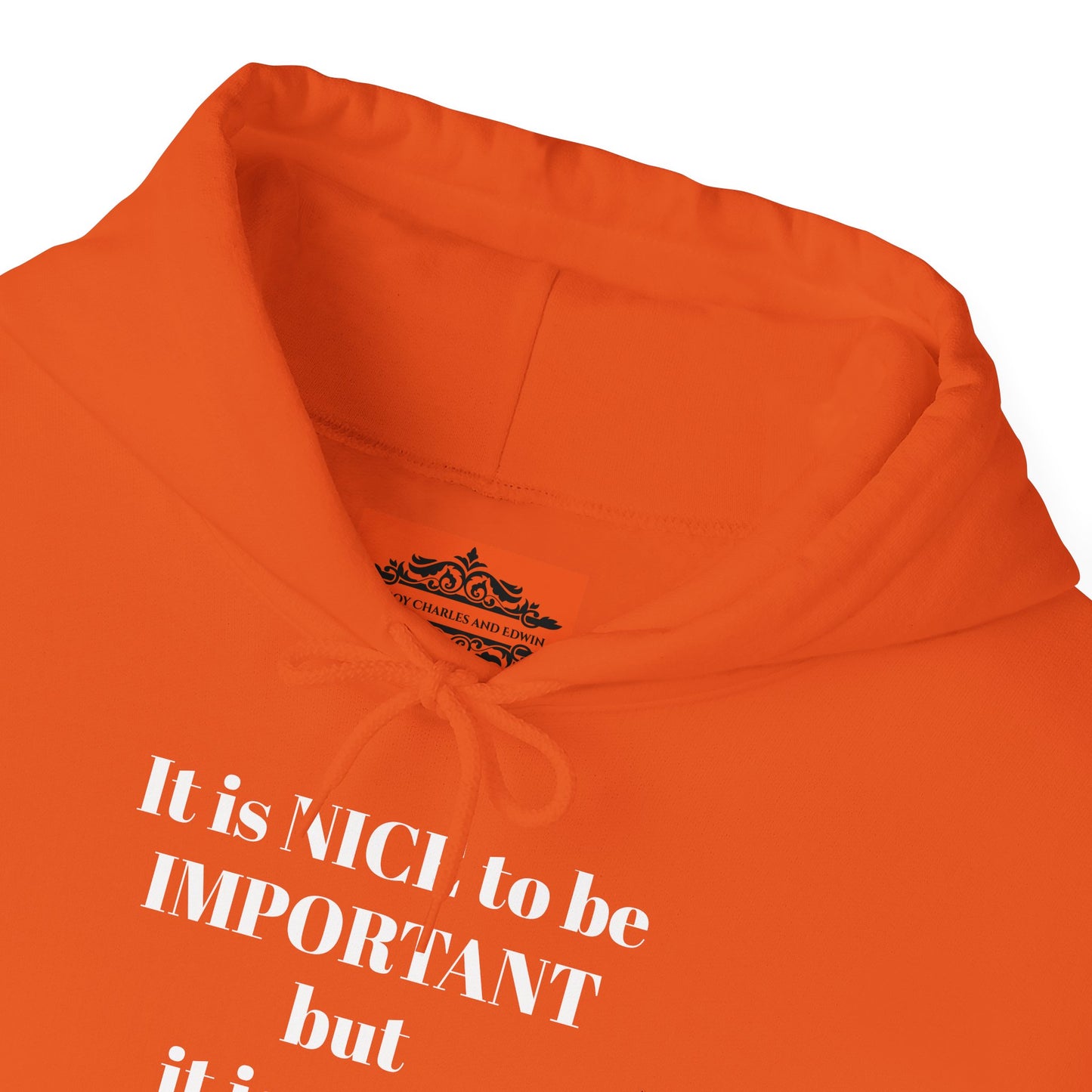 BE NICE HOODED SWEATSHIRT