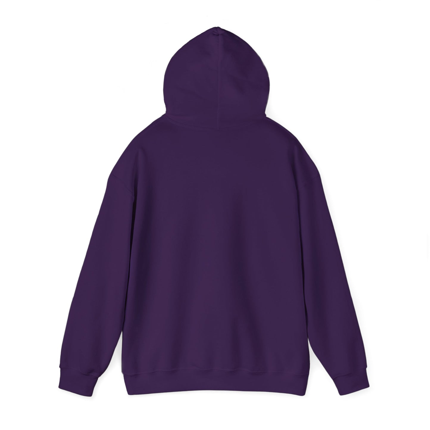 BE NICE HOODED SWEATSHIRT