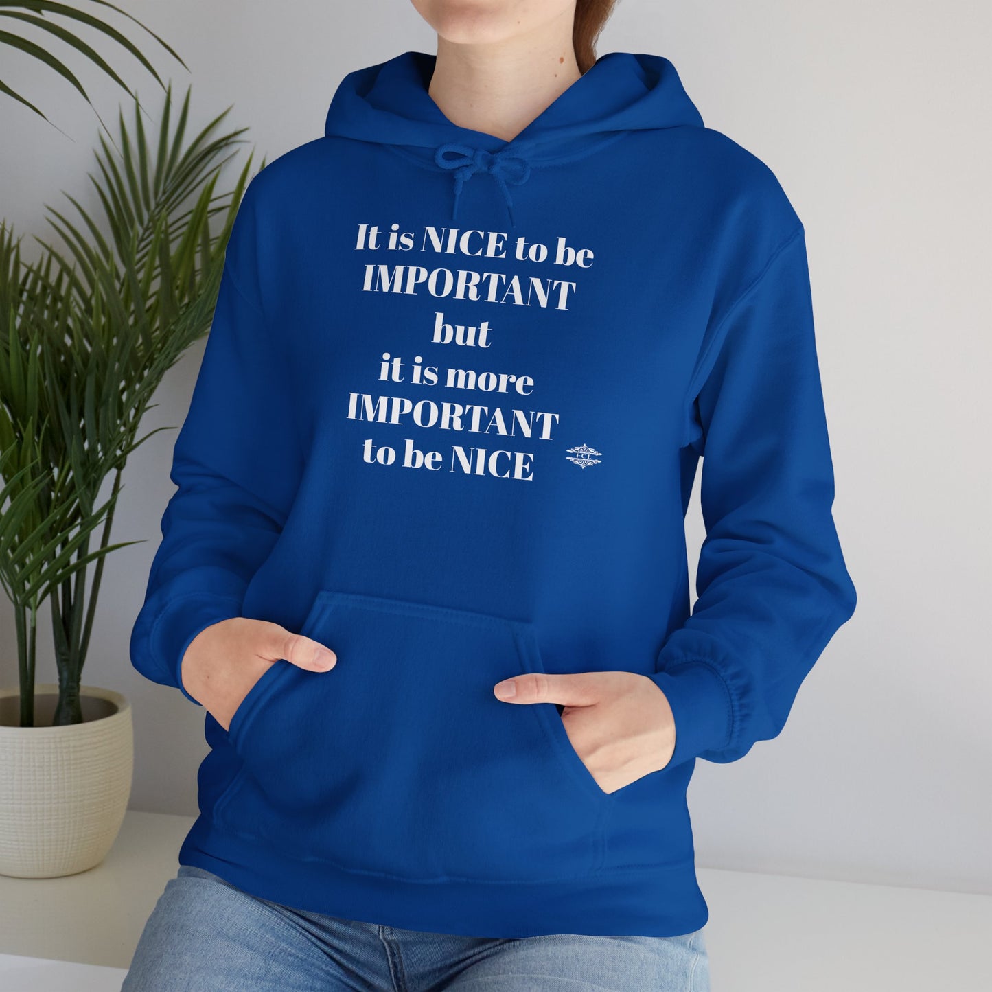 BE NICE HOODED SWEATSHIRT