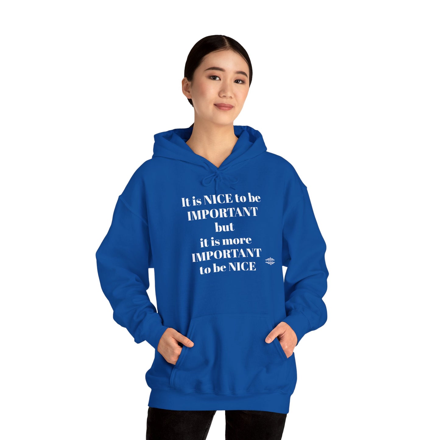 BE NICE HOODED SWEATSHIRT