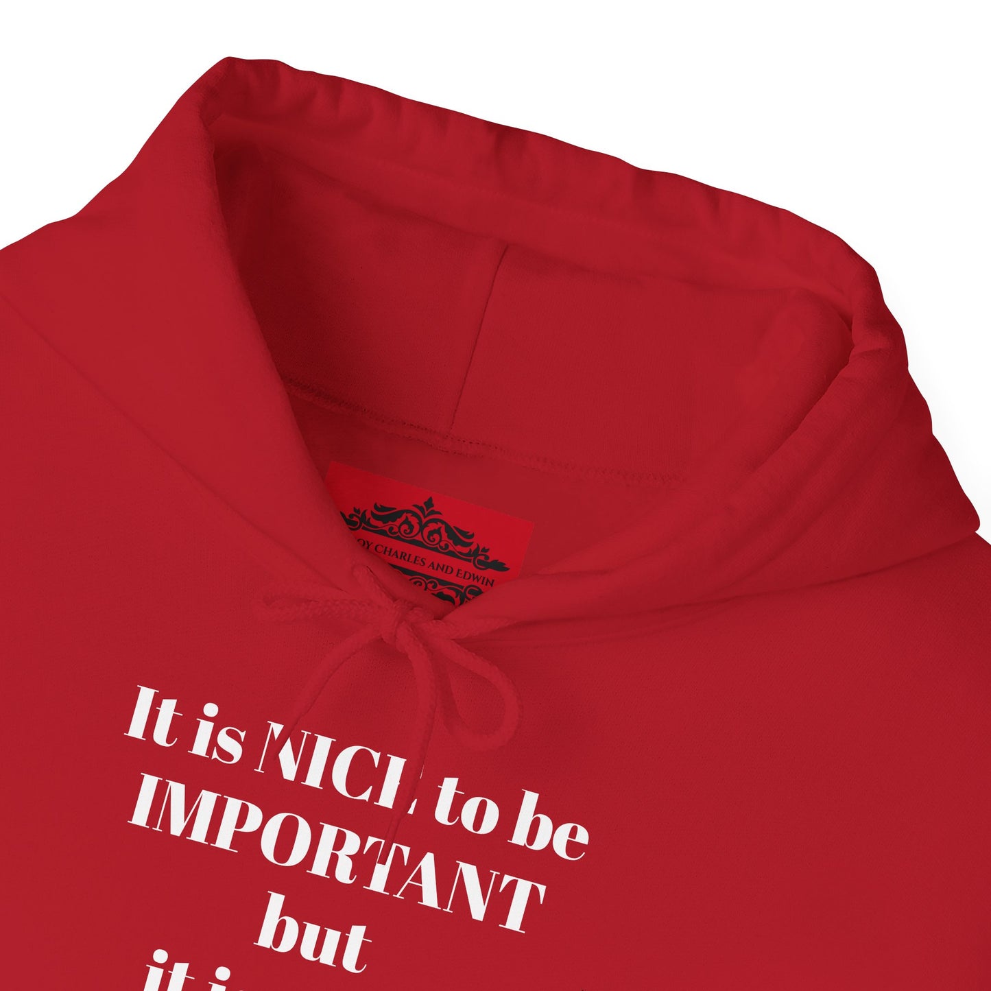 BE NICE HOODED SWEATSHIRT
