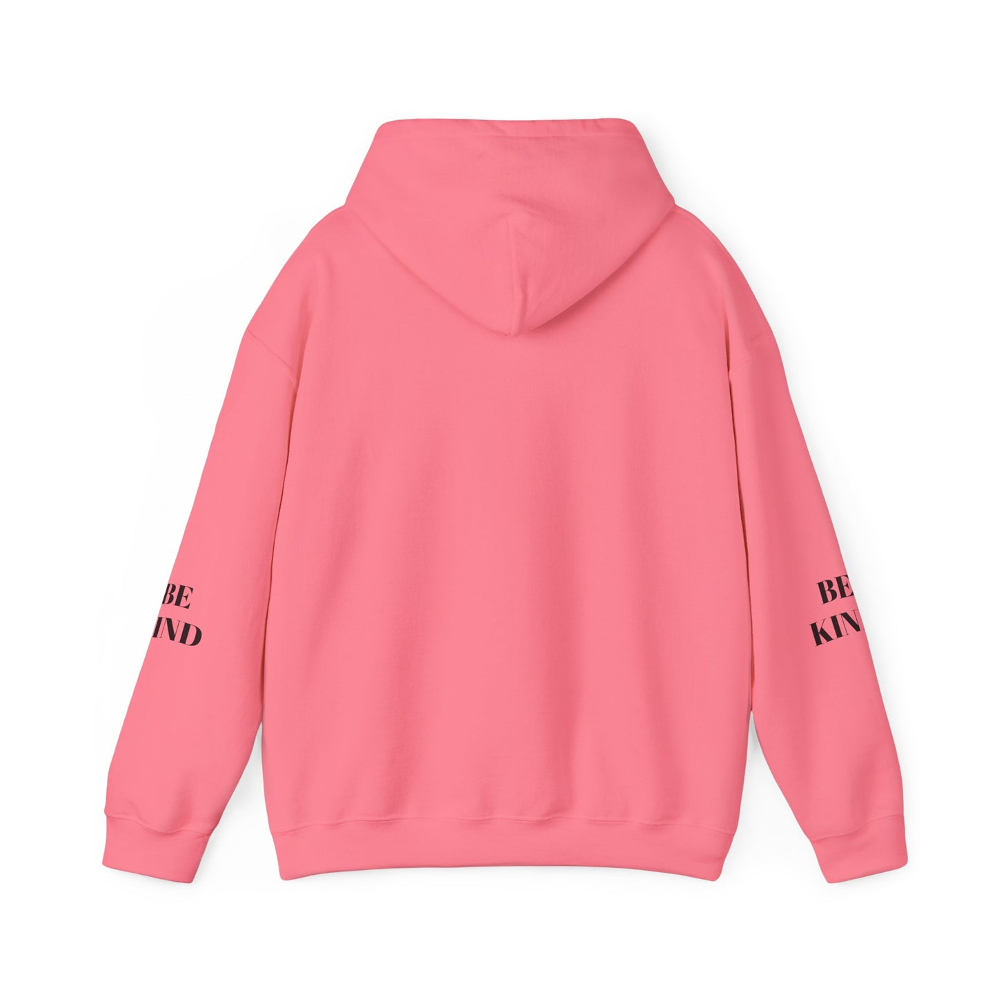BE NICE HOODED SWEATSHIRT