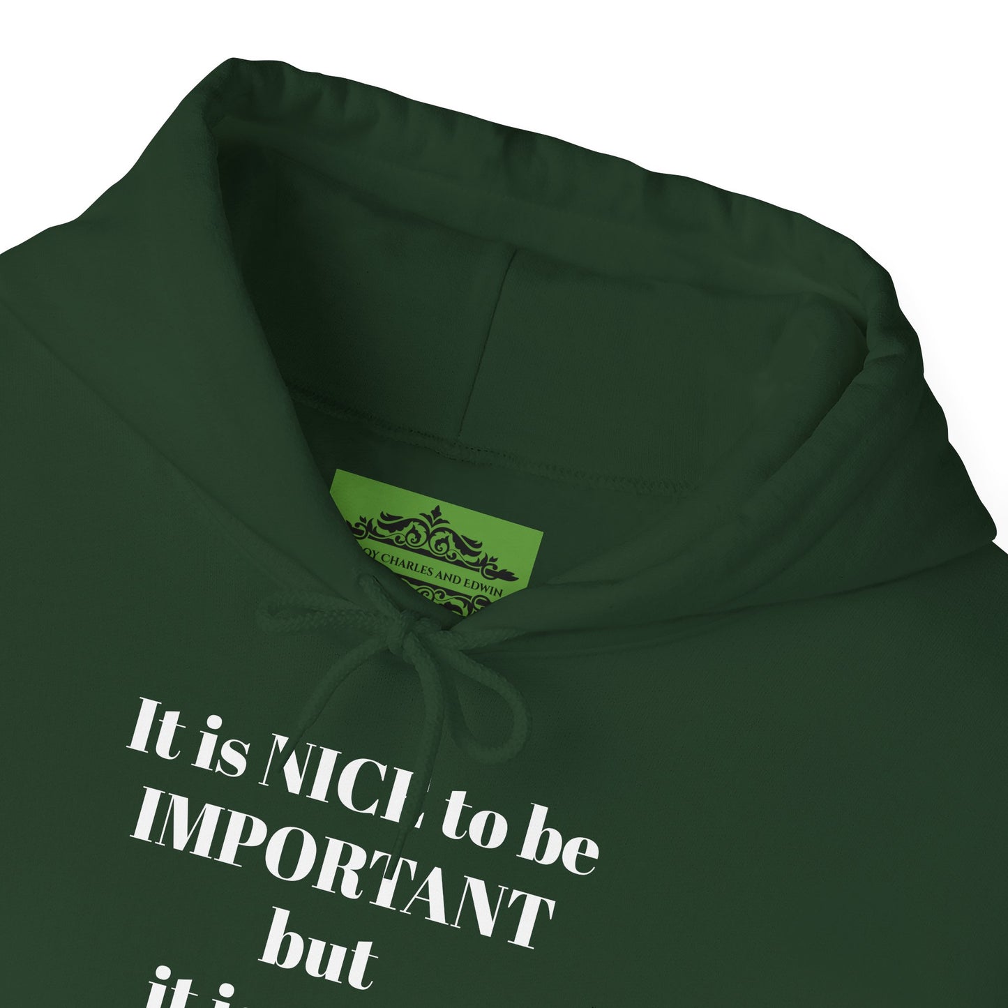 BE NICE HOODED SWEATSHIRT