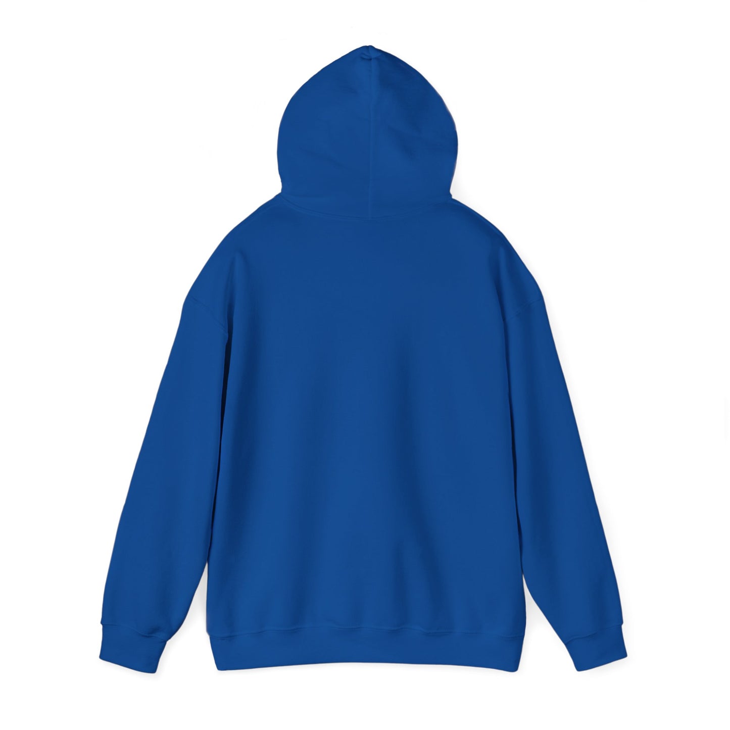 BE NICE HOODED SWEATSHIRT
