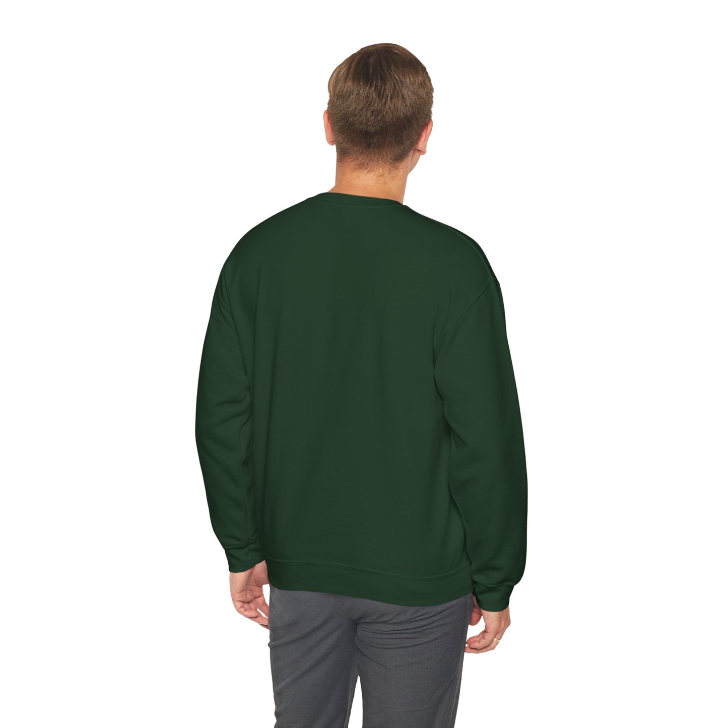 WHY NOT CREWNECK SWEATSHIRT