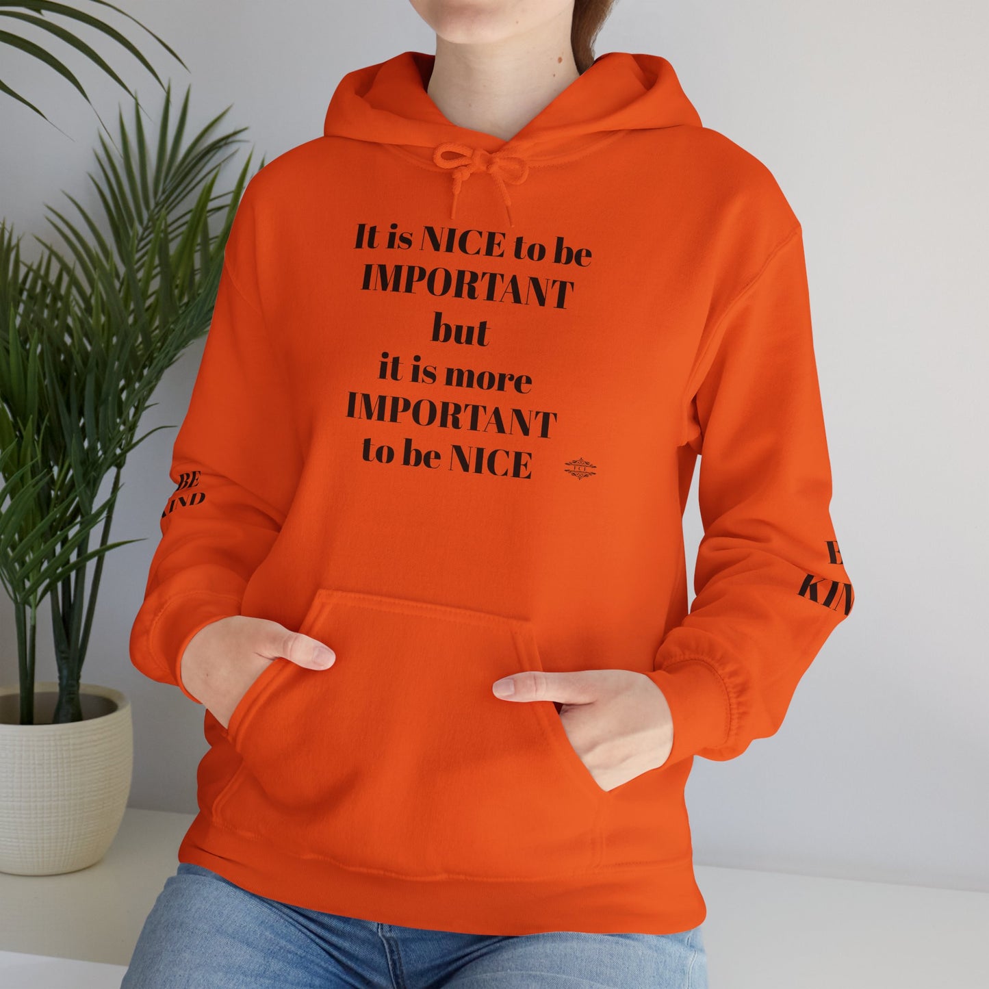 BE NICE HOODED SWEATSHIRT