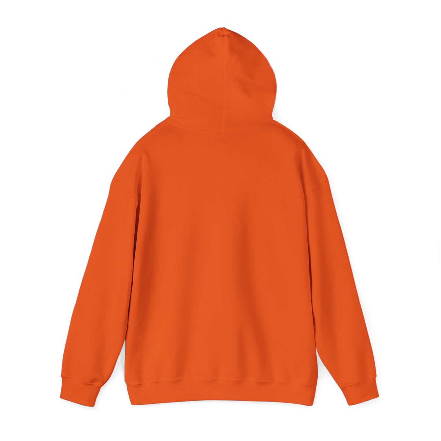 BE NICE HOODED SWEATSHIRT