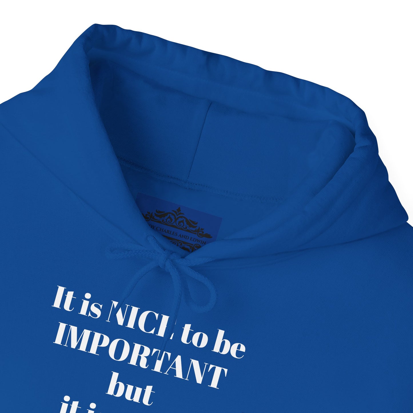 BE NICE HOODED SWEATSHIRT