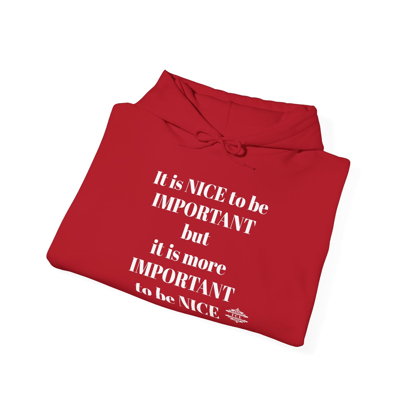 BE NICE HOODED SWEATSHIRT