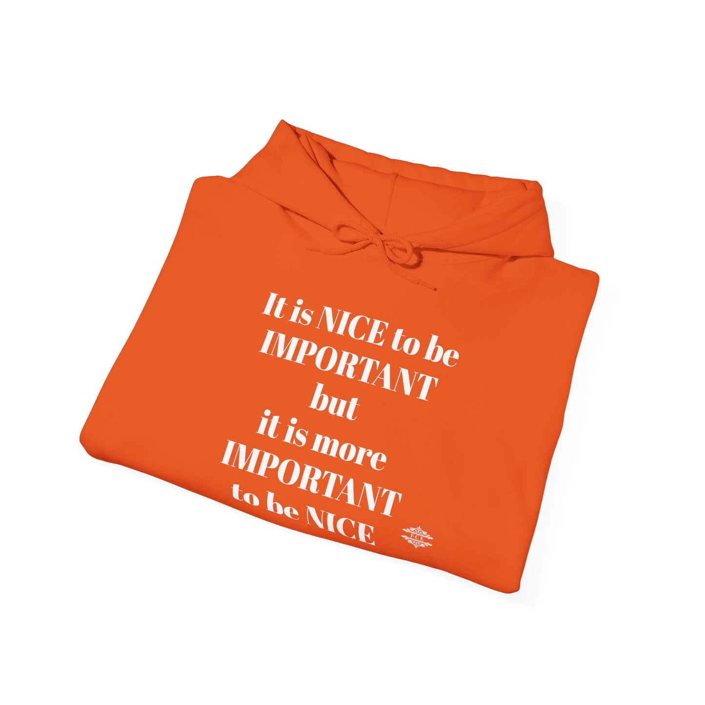 BE NICE HOODED SWEATSHIRT