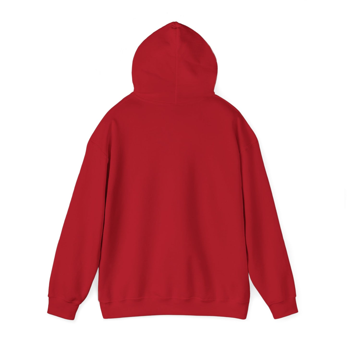 BE NICE HOODED SWEATSHIRT