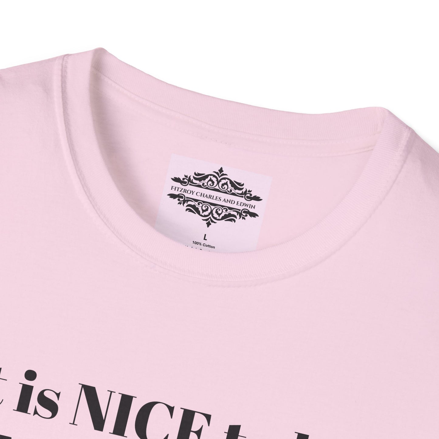 IT IS NICE TEE