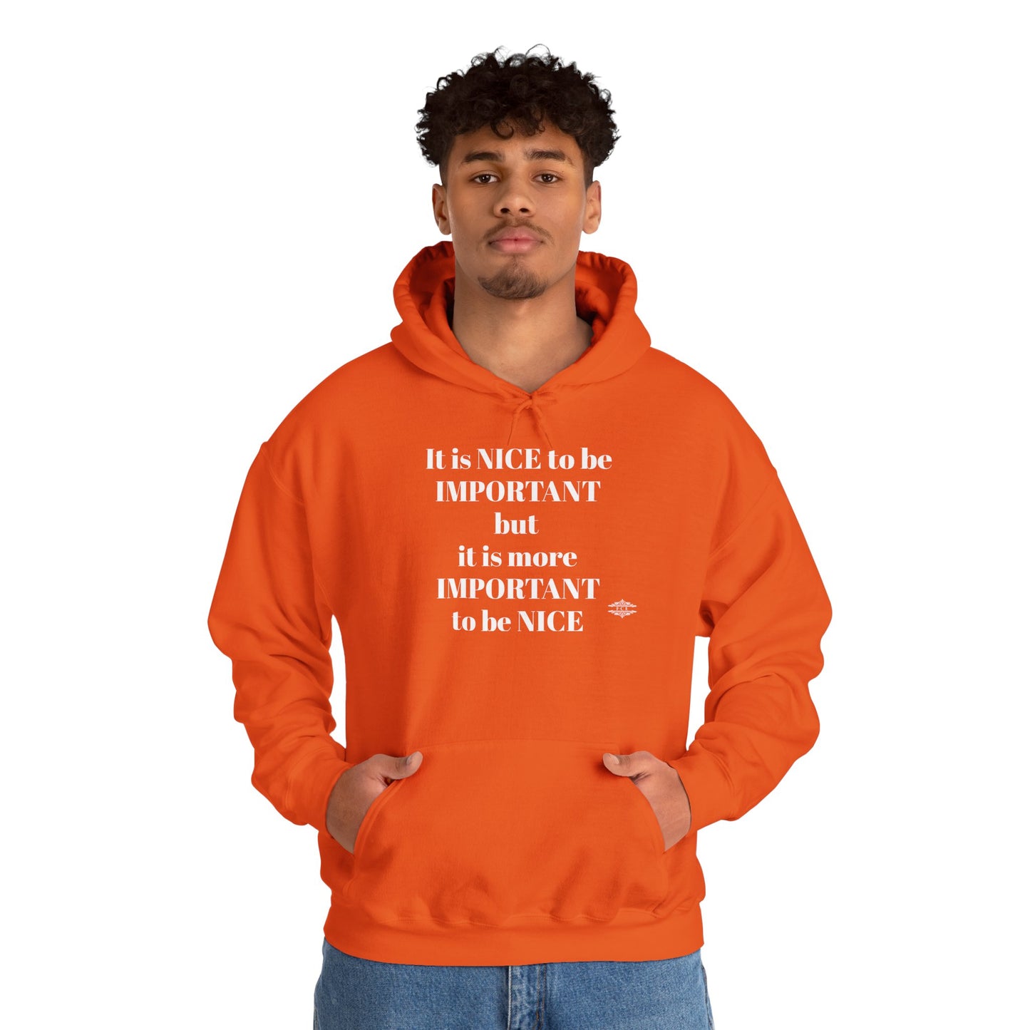 BE NICE HOODED SWEATSHIRT