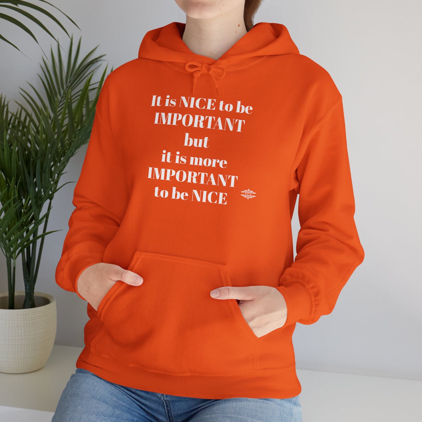 BE NICE HOODED SWEATSHIRT