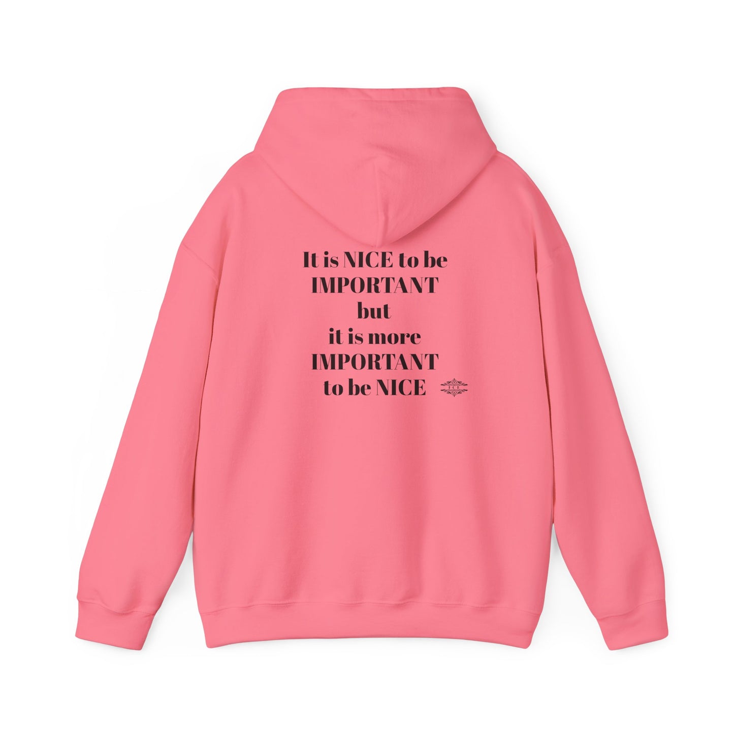 BE NICE HOODED SWEATSHIRT
