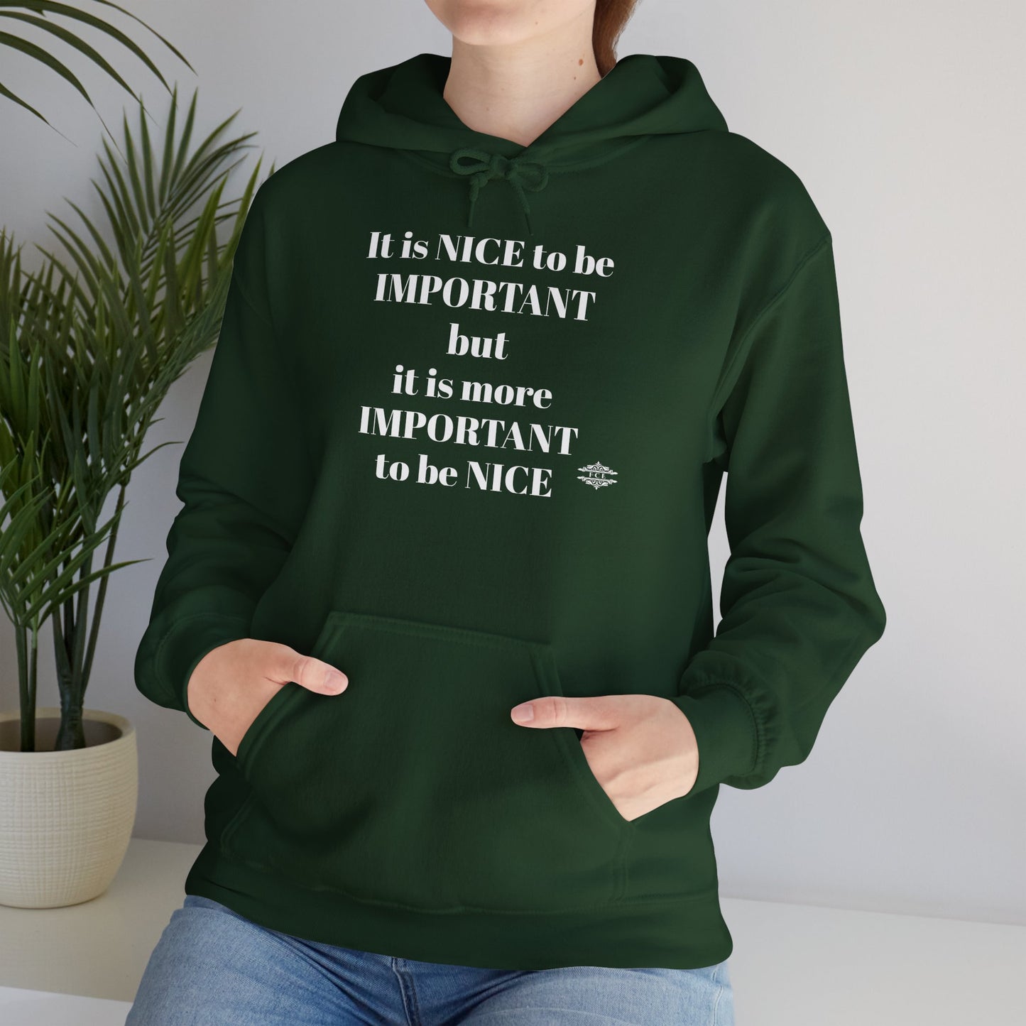 BE NICE HOODED SWEATSHIRT