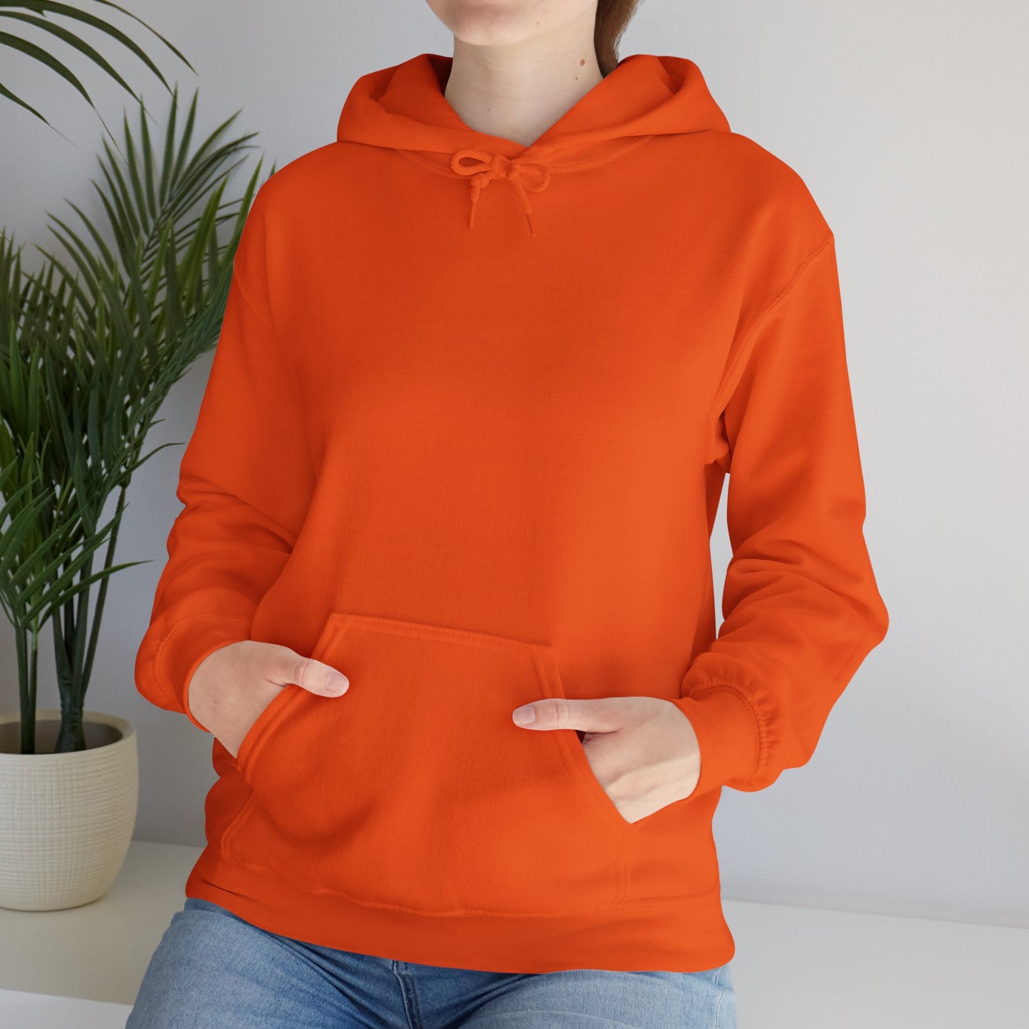 BE NICE HOODED SWEATSHIRT