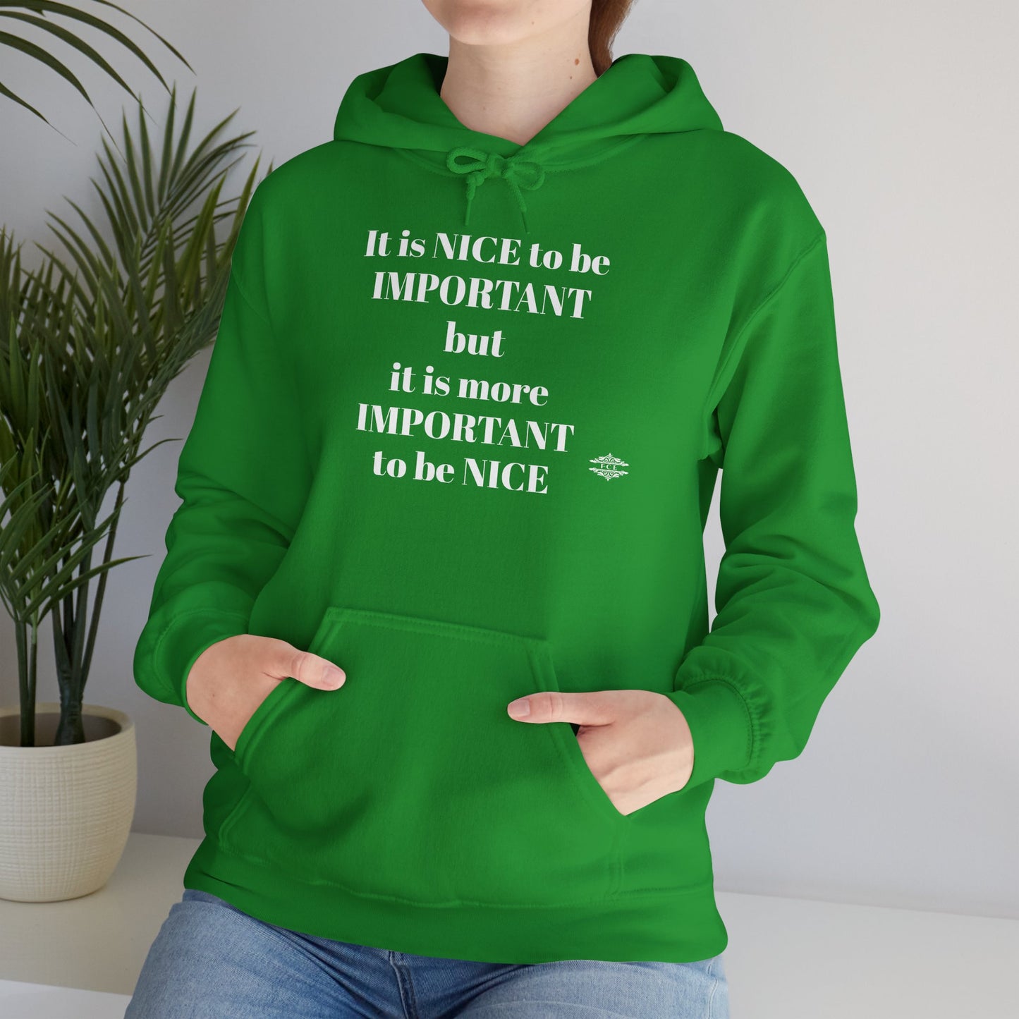 BE NICE HOODED SWEATSHIRT