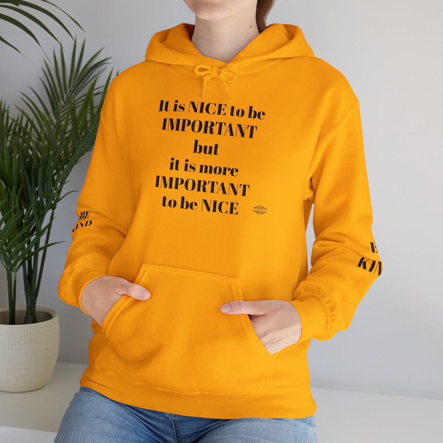 BE NICE HOODED SWEATSHIRT