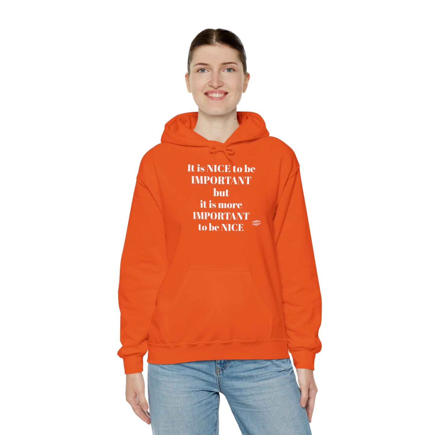 BE NICE HOODED SWEATSHIRT