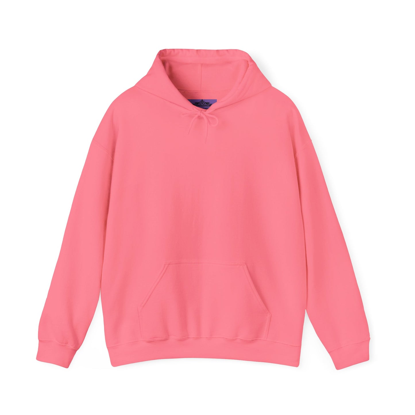 BE NICE HOODED SWEATSHIRT