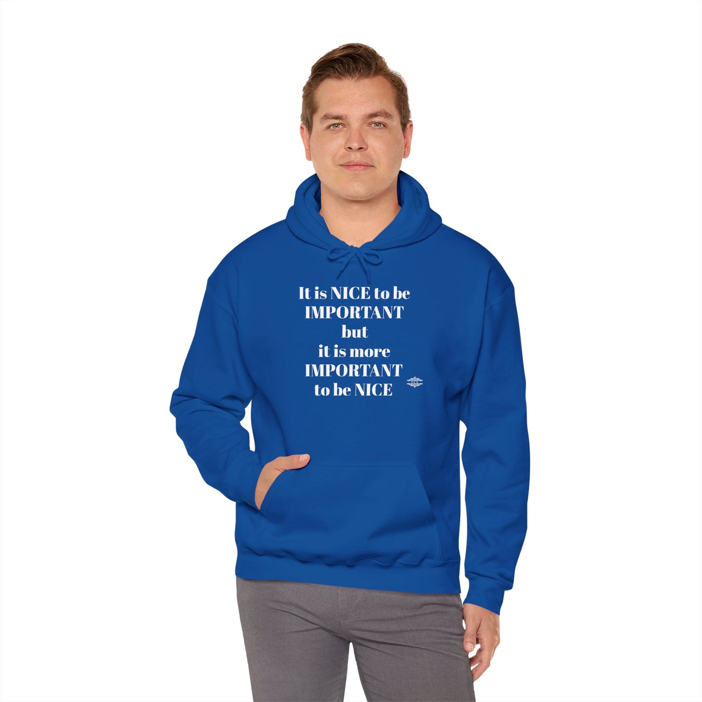 BE NICE HOODED SWEATSHIRT