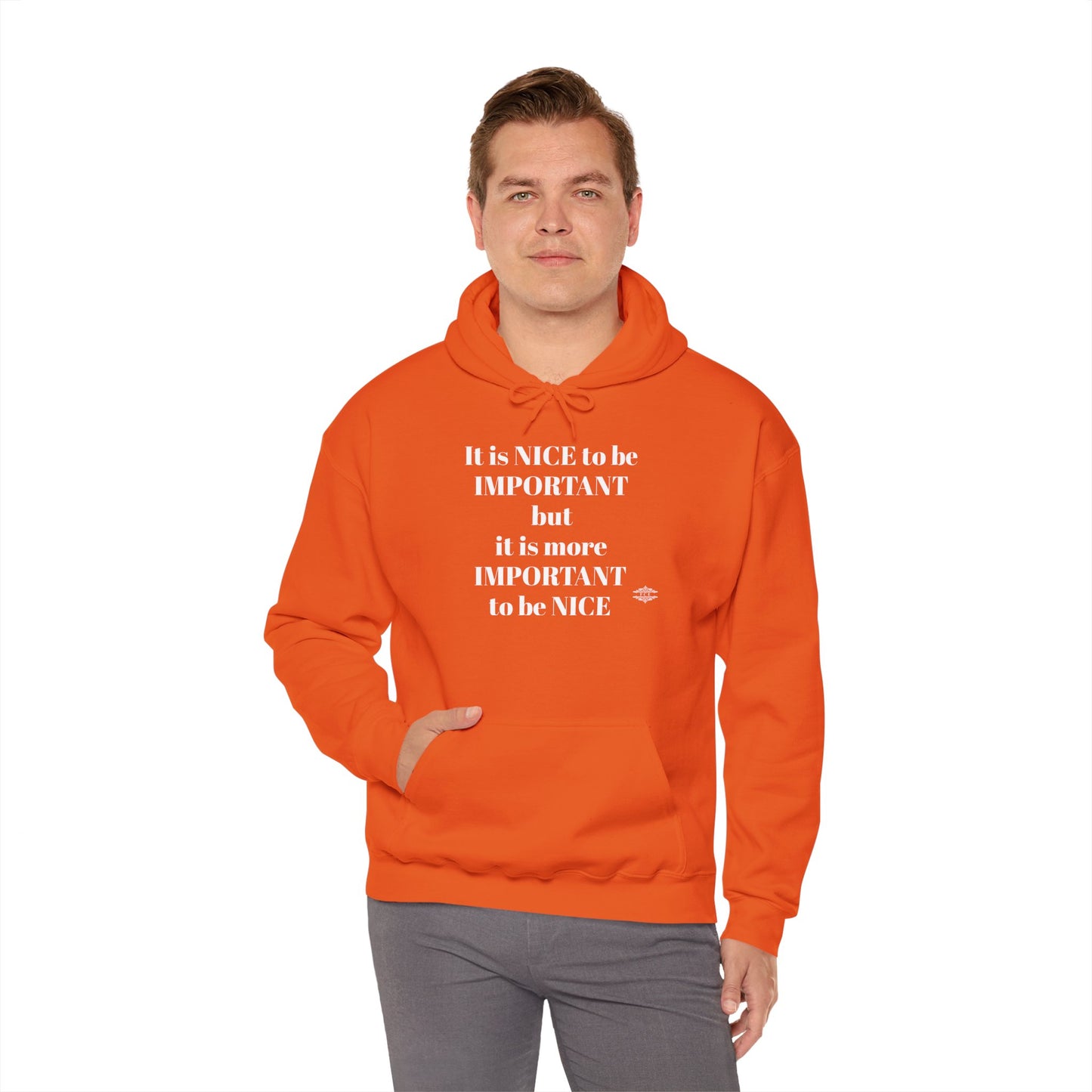 BE NICE HOODED SWEATSHIRT