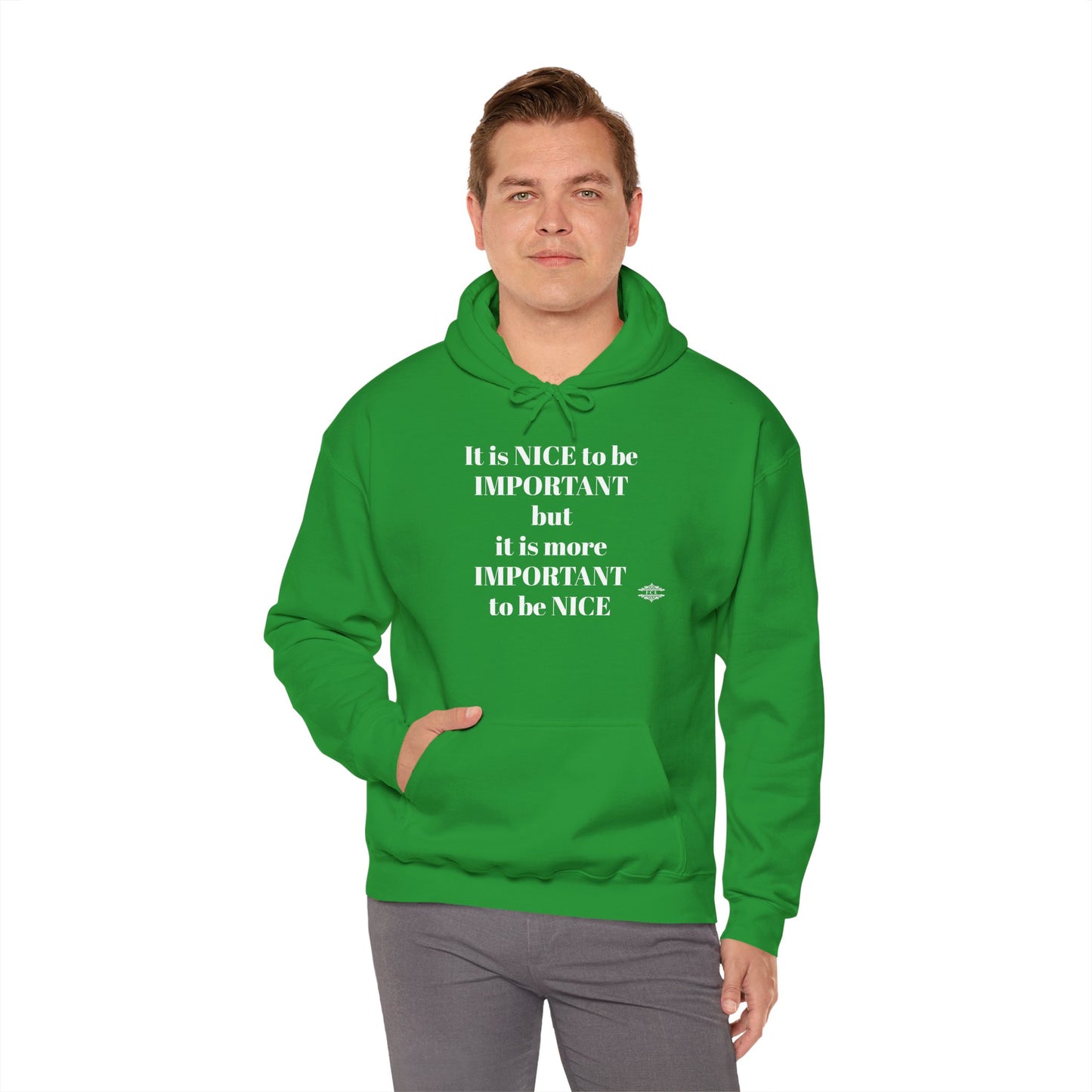 BE NICE HOODED SWEATSHIRT
