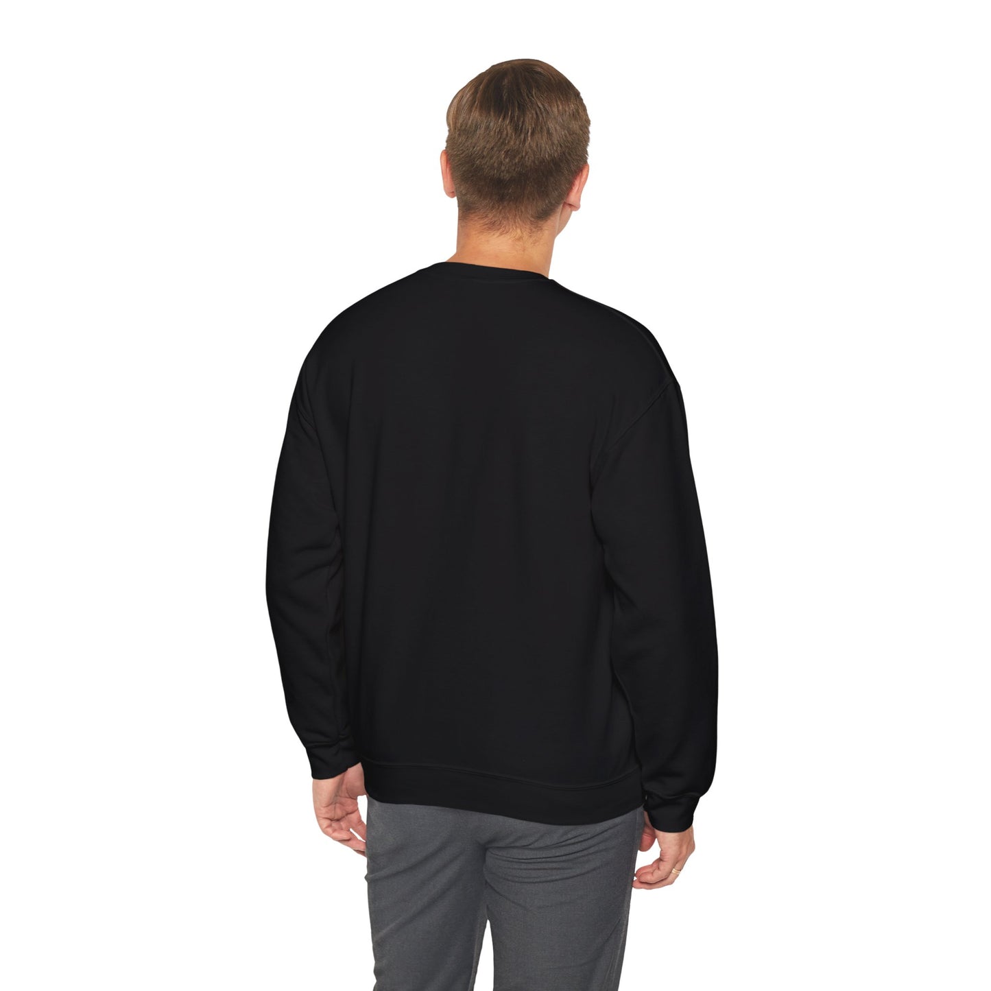 WHY NOT CREWNECK SWEATSHIRT