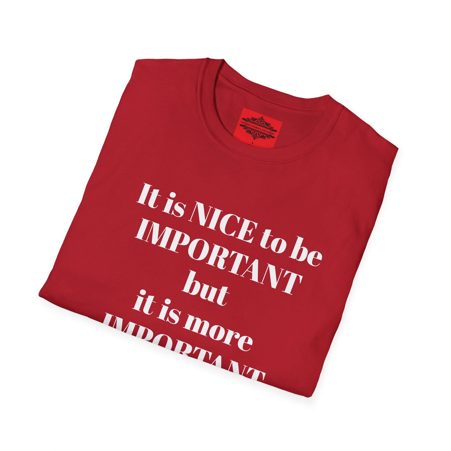 IT IS NICE TO BE IMPORTANT