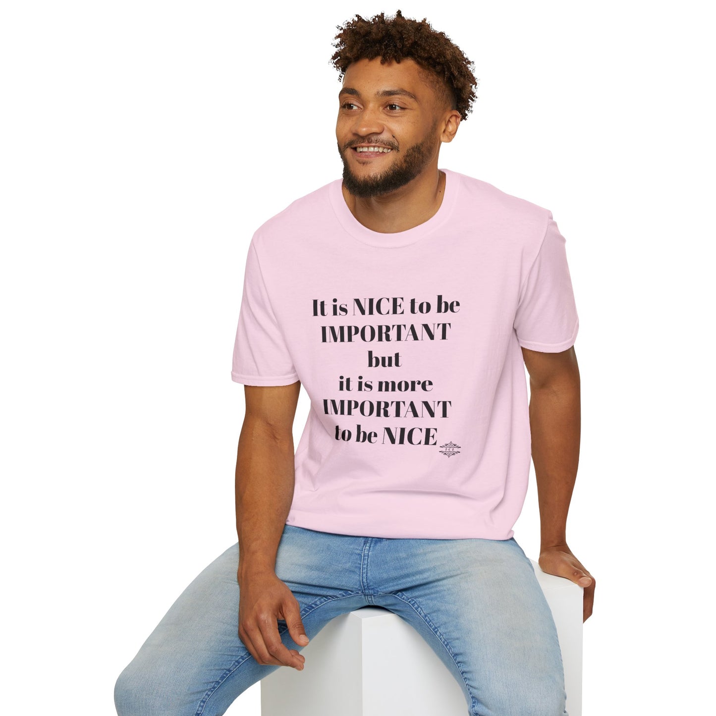IT IS NICE TEE