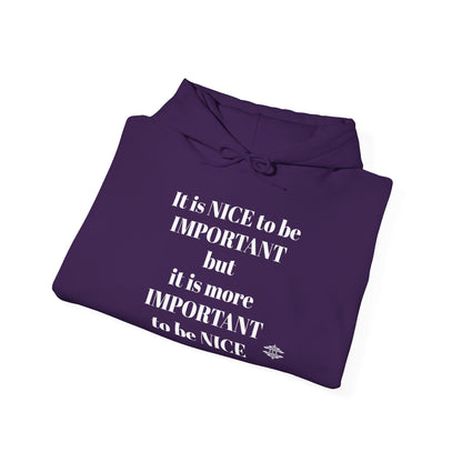 BE NICE HOODED SWEATSHIRT