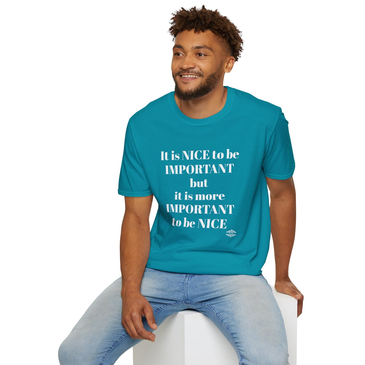 IT IS NICE TO BE IMPORTANT
