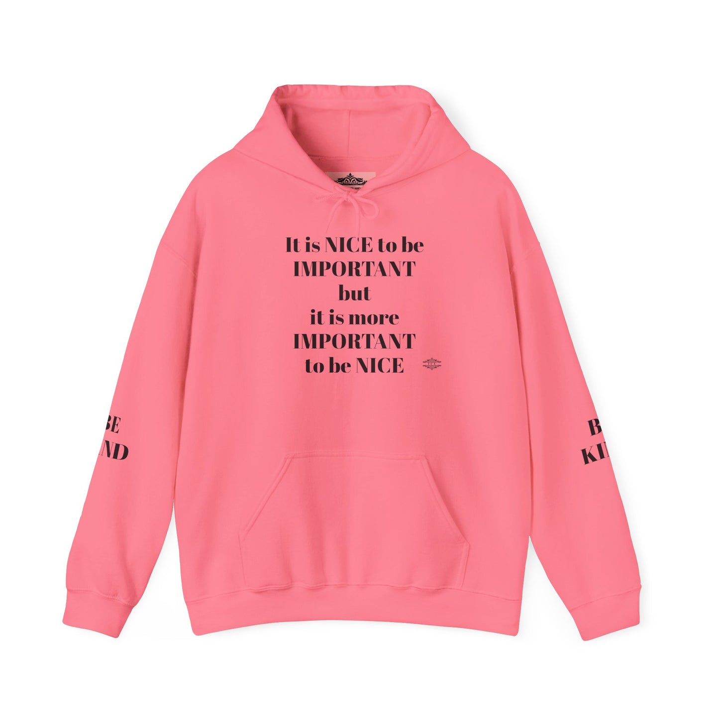 BE NICE HOODED SWEATSHIRT