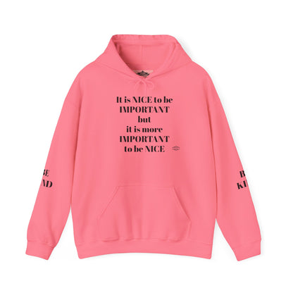 BE NICE HOODED SWEATSHIRT