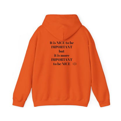 BE NICE HOODED SWEATSHIRT
