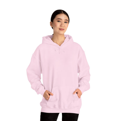 BE NICE HOODED SWEATSHIRT